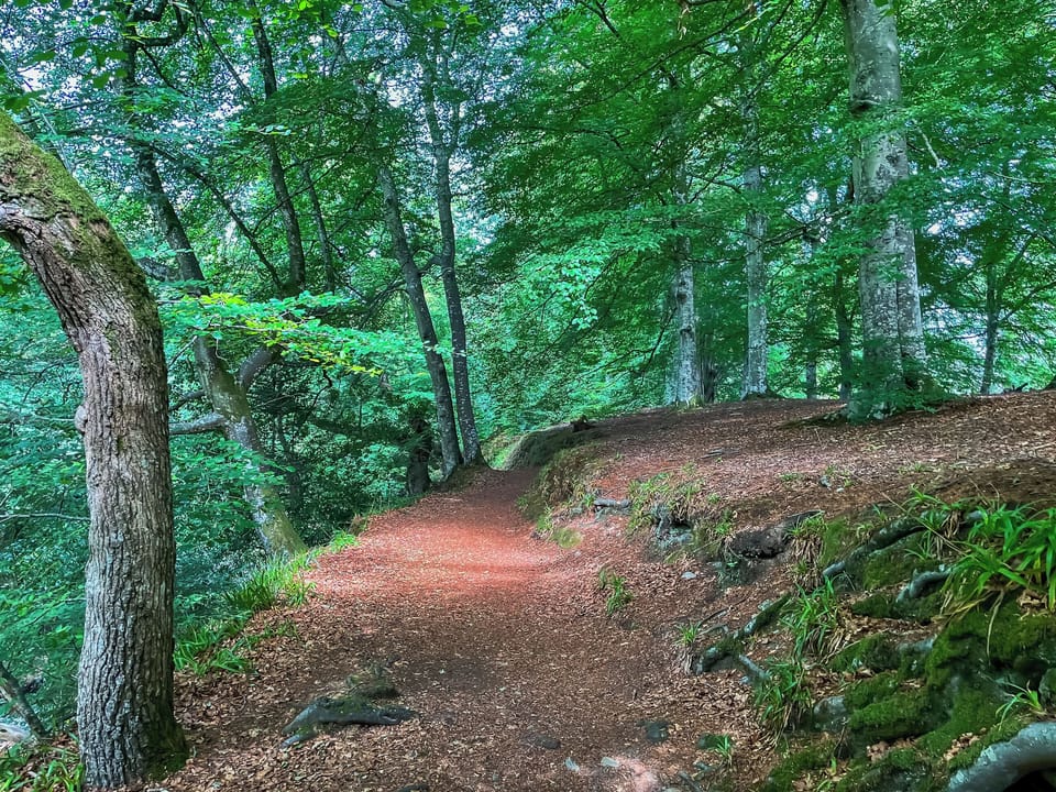 Surrounding area | Eskside Lodge, Brechin