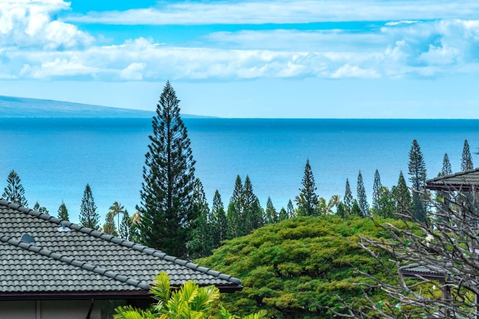 This view? 100% island magic. Palms, pines, and Pacific perfection all in one frame
 KGV-21P2
