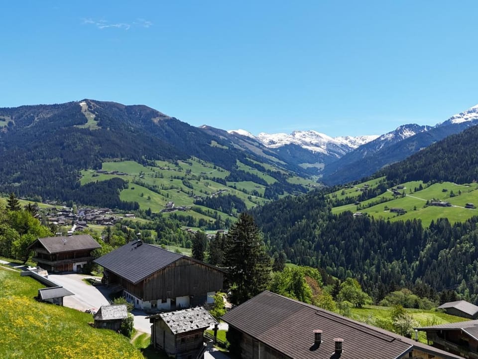 View from Holiday Home [summer]