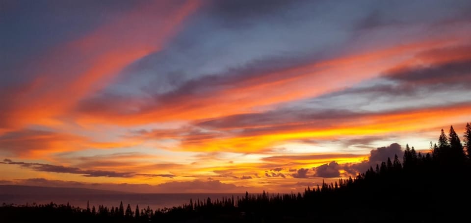 End your day wrapped in a masterpiece—fiery skies, silhouetted palms, and the golden hush of Maui’s unforgettable twilight     KGV-22T5