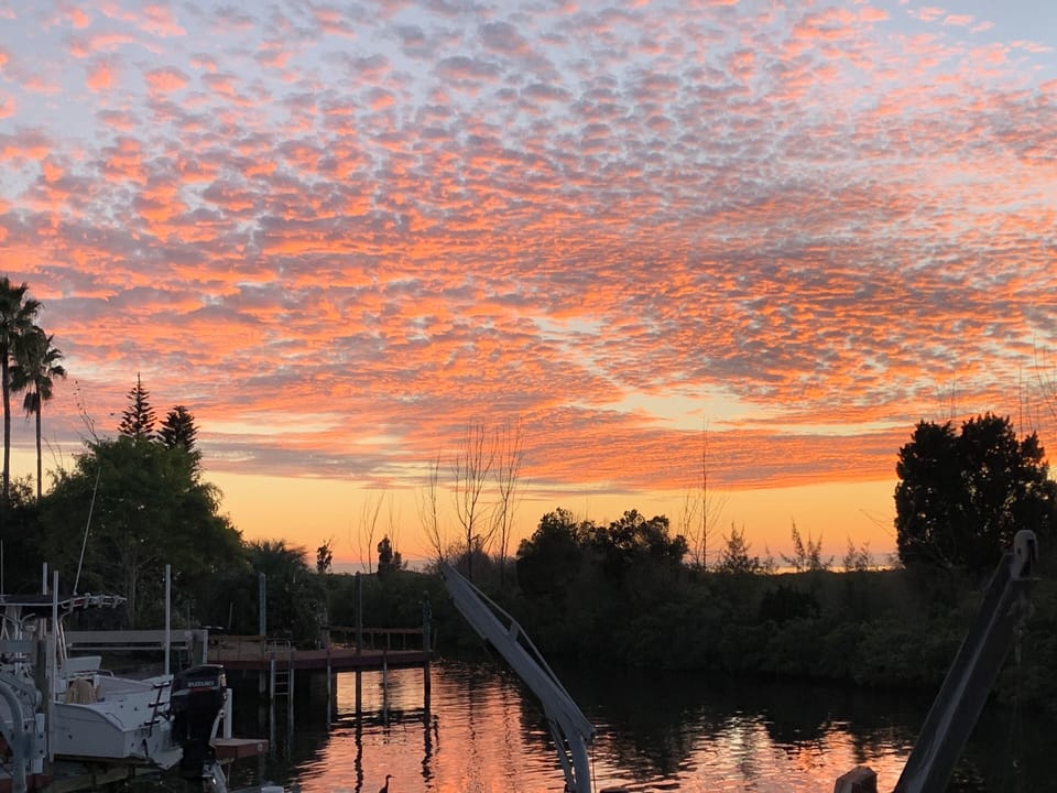 Paradise Found! On Gulf of America