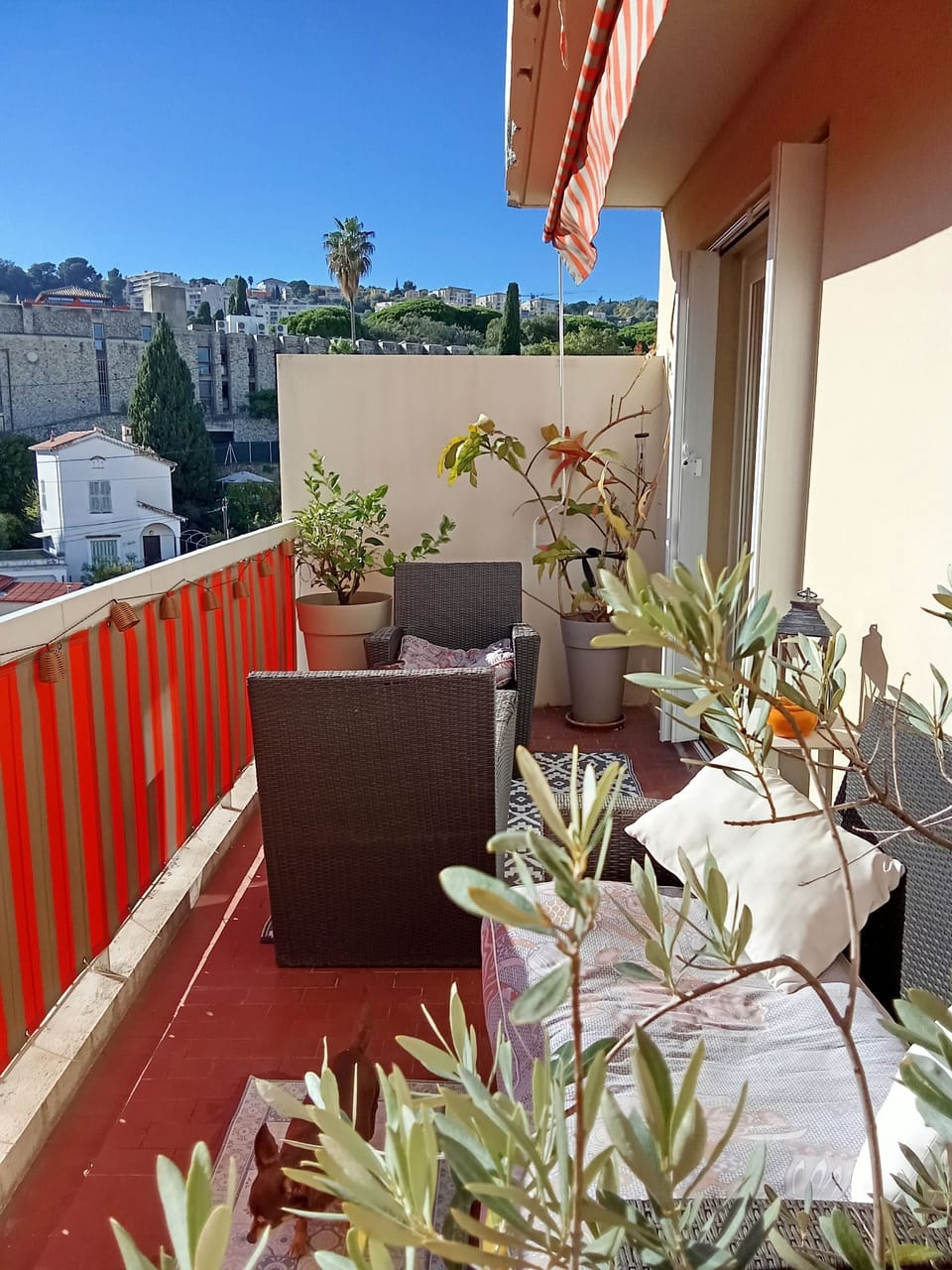 Terrace/patio