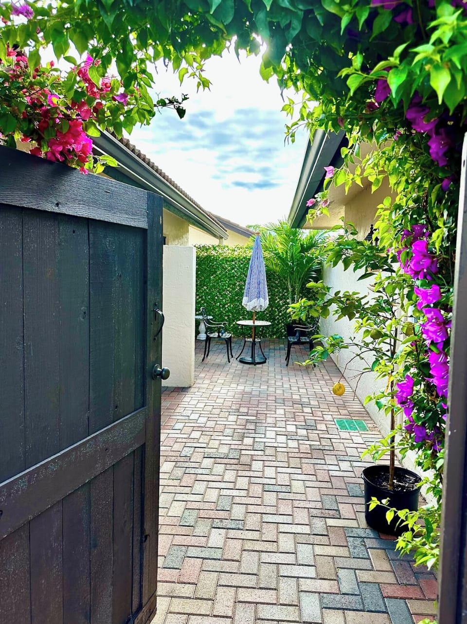 Private courtyard with table and chairs, a bougainvillea arch and a palm tree.