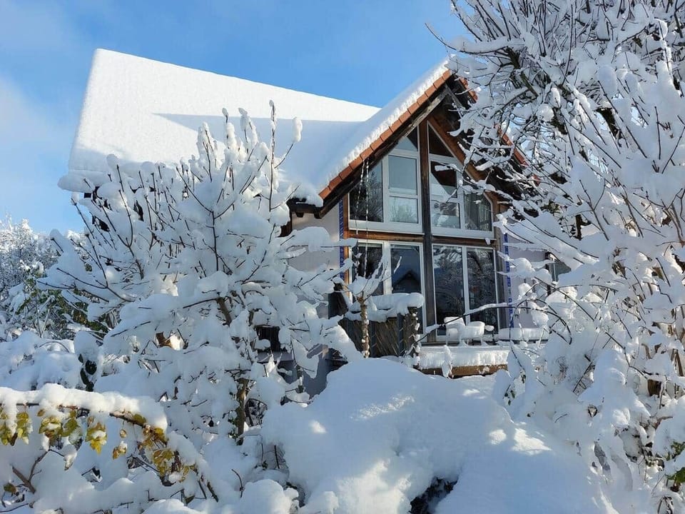 Winter 