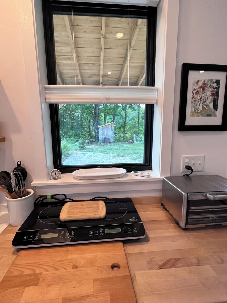 Induction cook top, toaster oven.