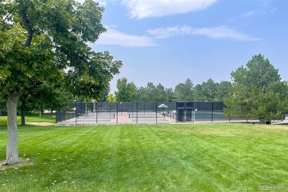 Sport court