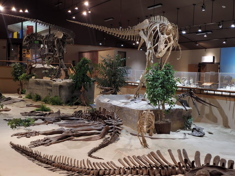 Dickinson Museum Center & Badlands Dinosaur Museum - 1 mile