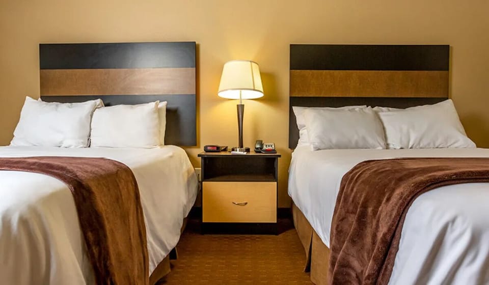 Drift off in a bright, inviting room with twin comforts.