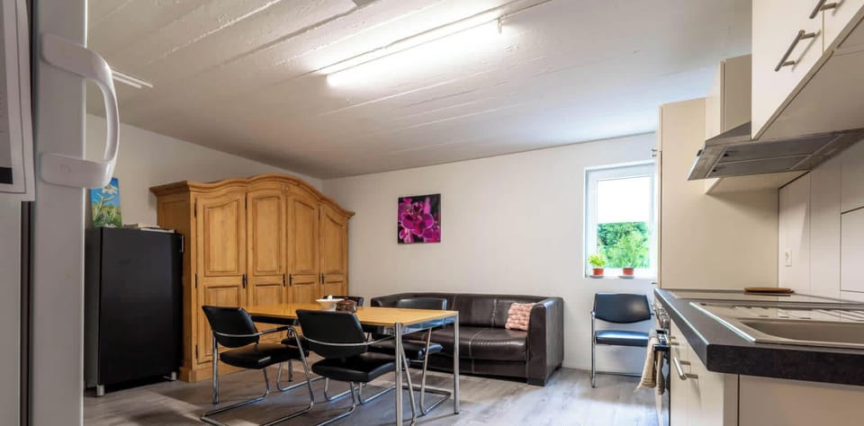 Bright shared kitchen with cooking area and seating
