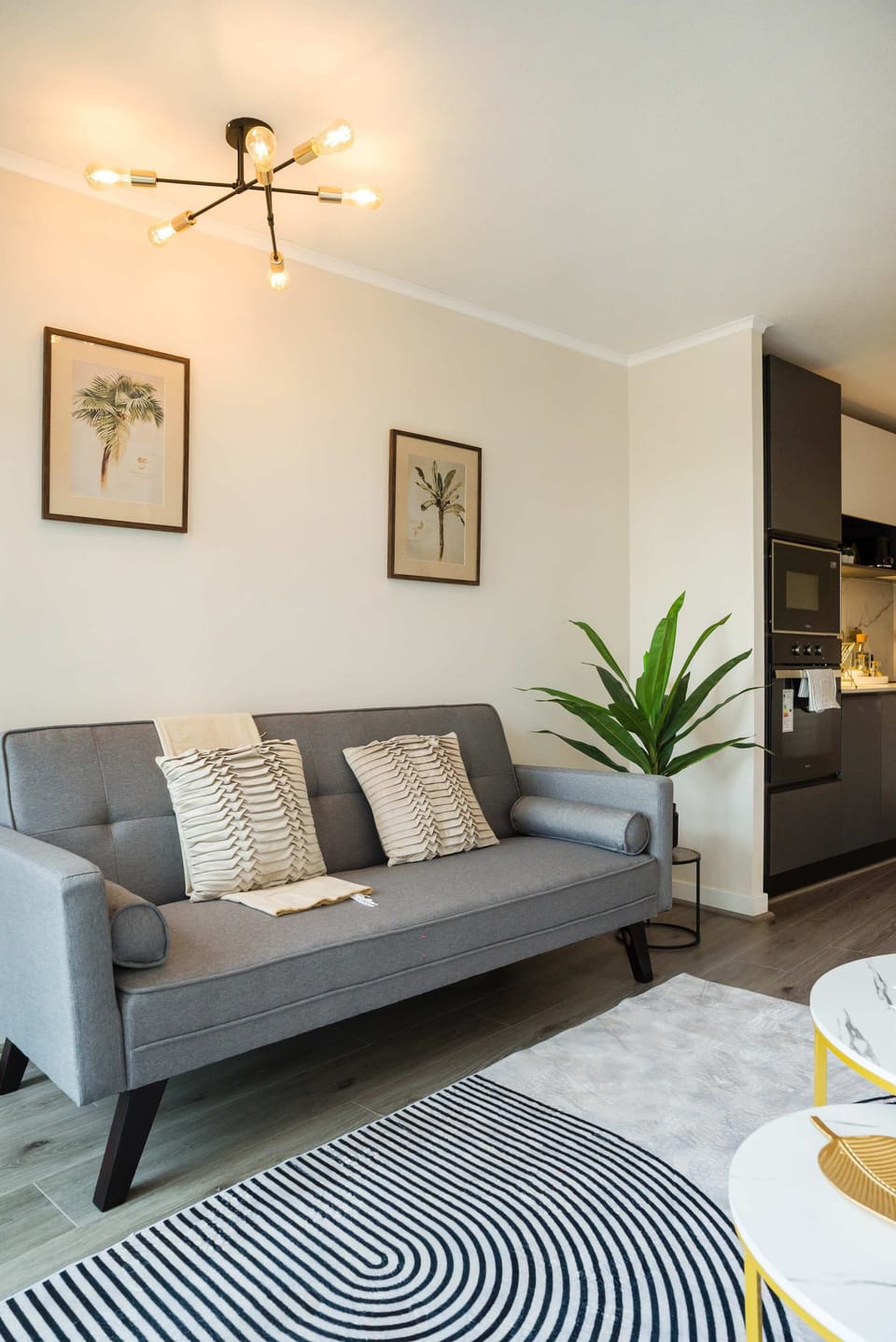 Cozy and stylish living area with modern decor and a touch of greenery, perfect for relaxation in this chic studio apartment.