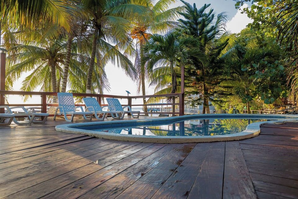 Immerse yourself in tranquility and enjoy the sun by our refreshing pool. 