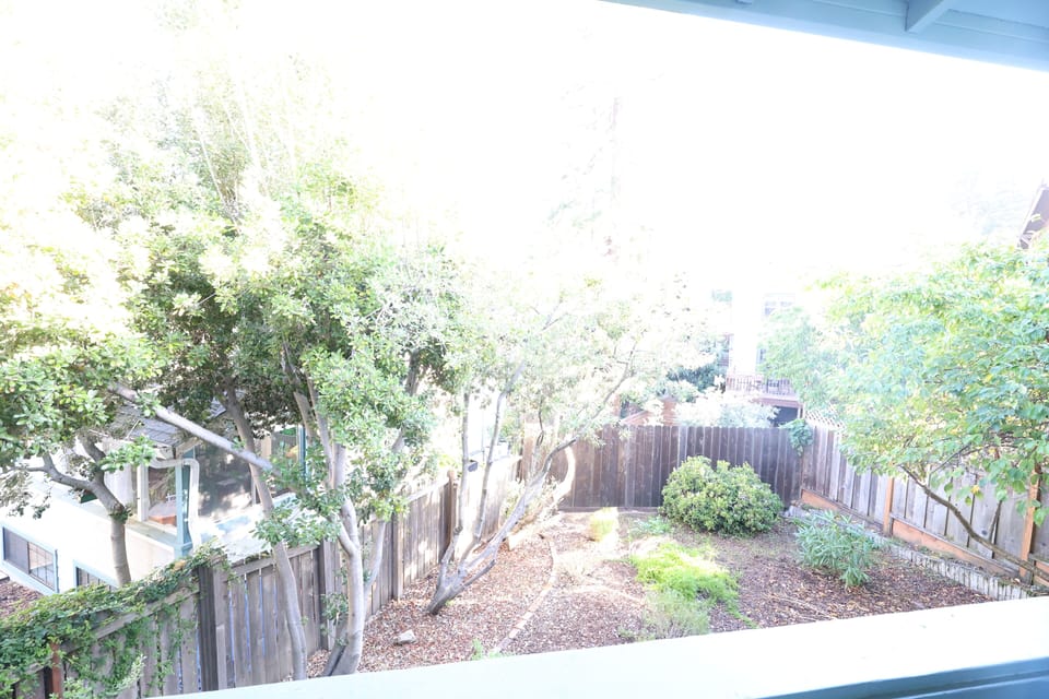 Shared backyard