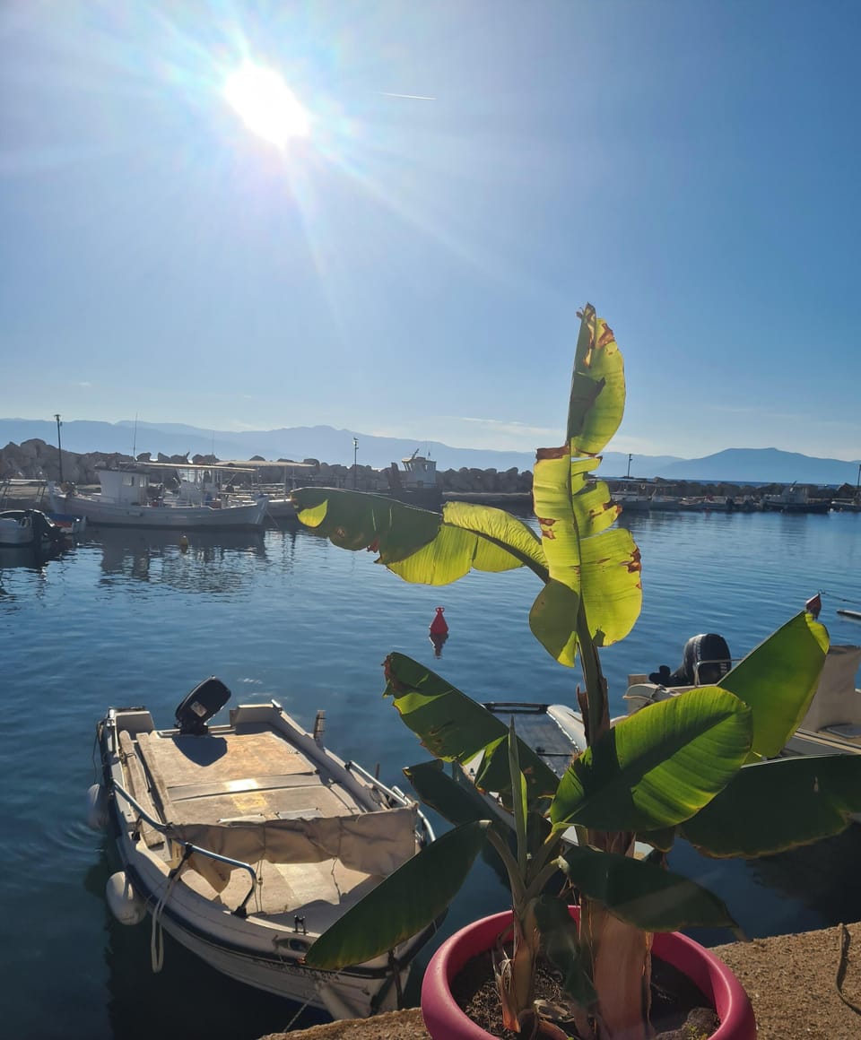 Marina
