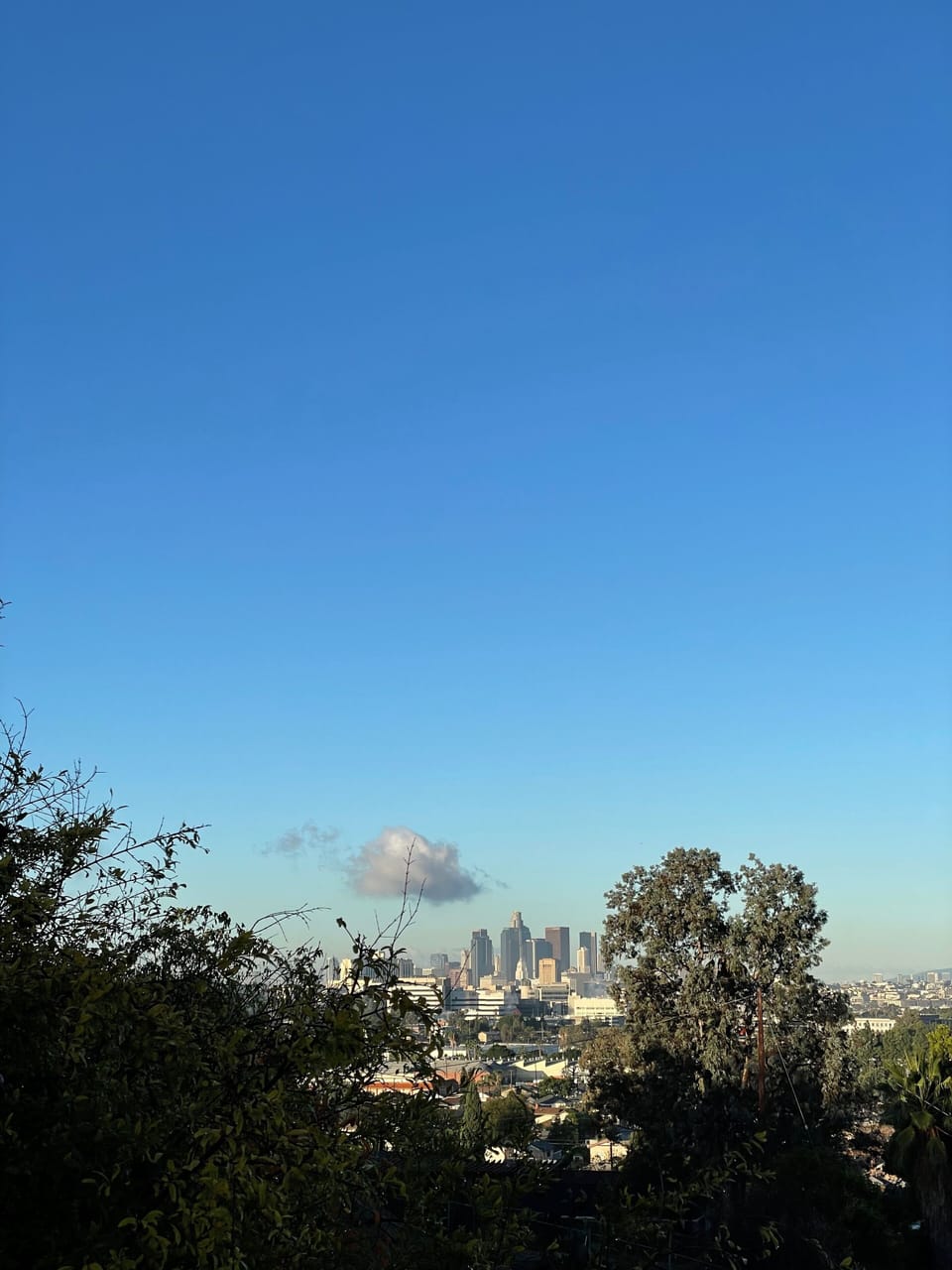 Miscellaneous