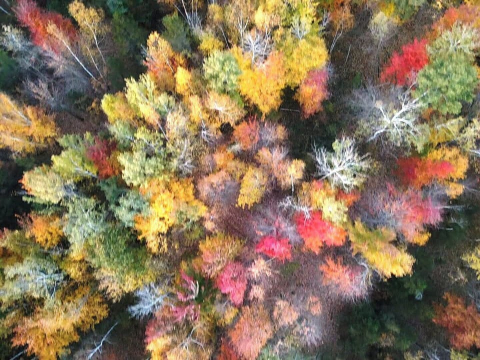 Walking Trails