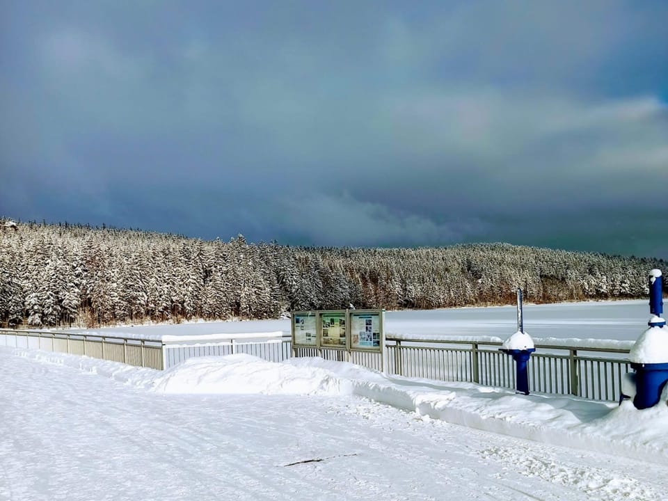 Region [winter] (>5 km)