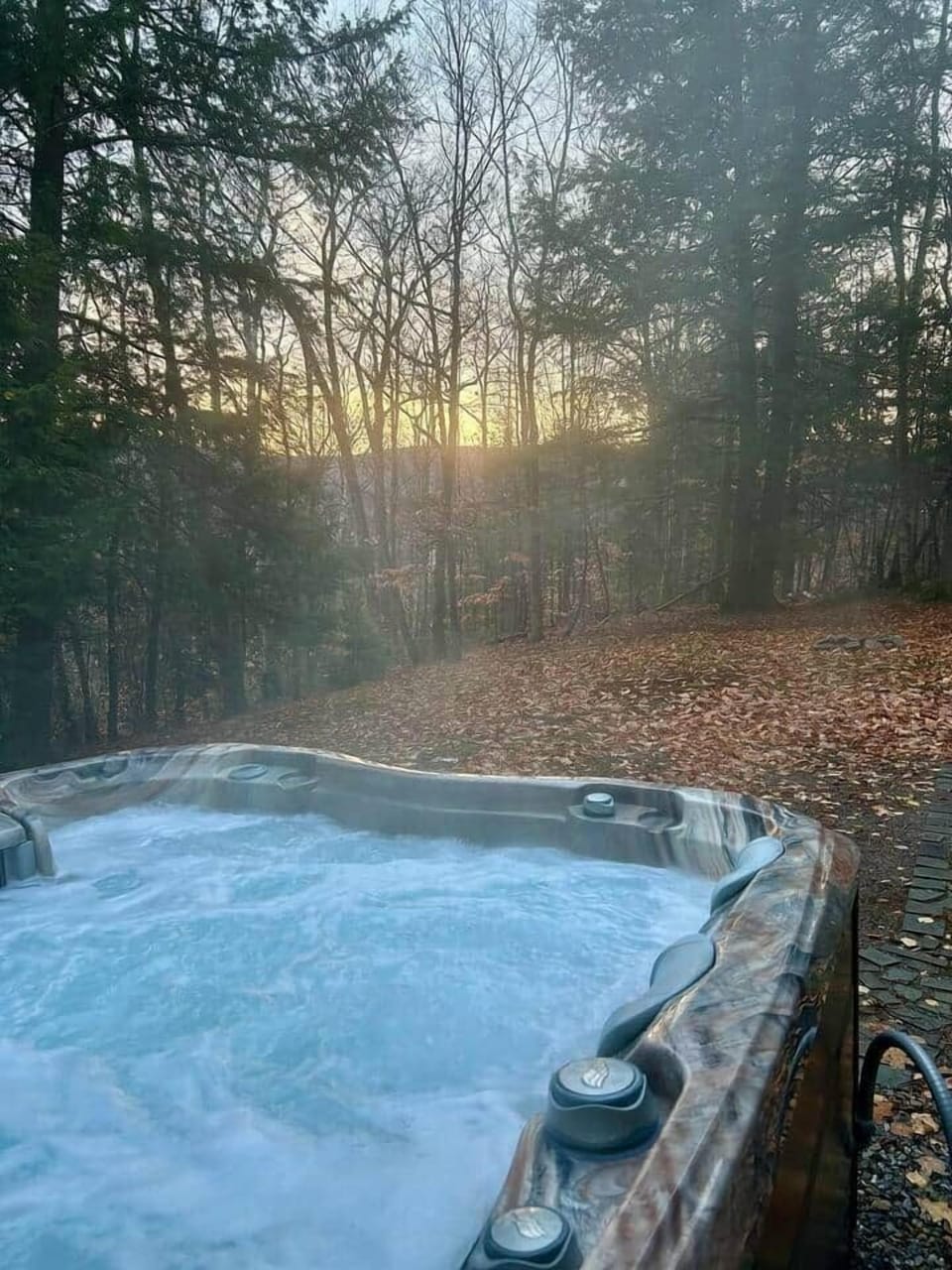 Backyard in fall