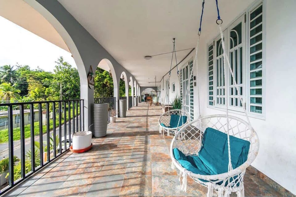 A patio with lush greenery, ideal for relaxing in the fresh air.

