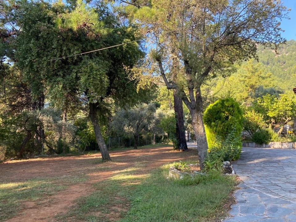 A lush, private green space filled with olive trees and flowers, offering peace and privacy after a day on the beach.