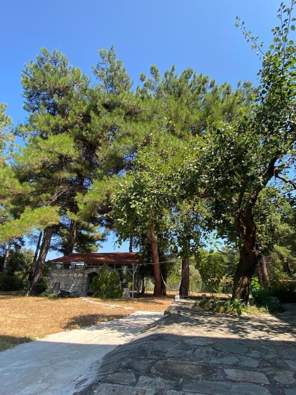 Walk among olive groves and flowering plants that frame the property in authentic coastal charm.