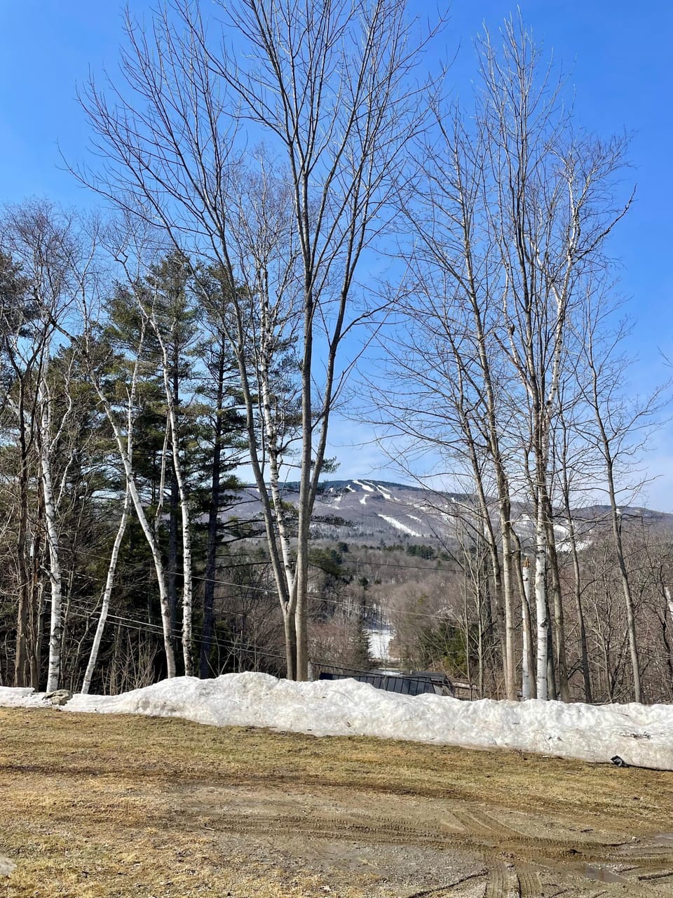 Okemo Mountain views! See the trails from the house. Birch trees!