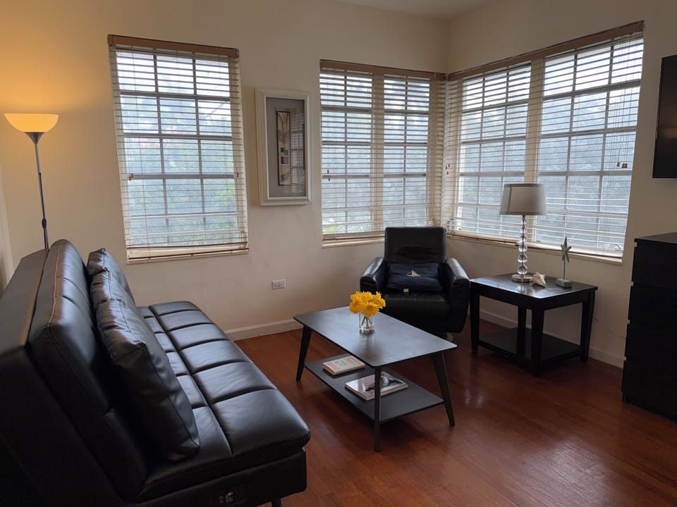 Living Room: Futon Sofa and Smart TV