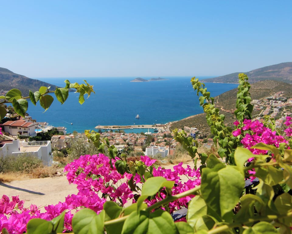 View of harbour from private garden lower patio area