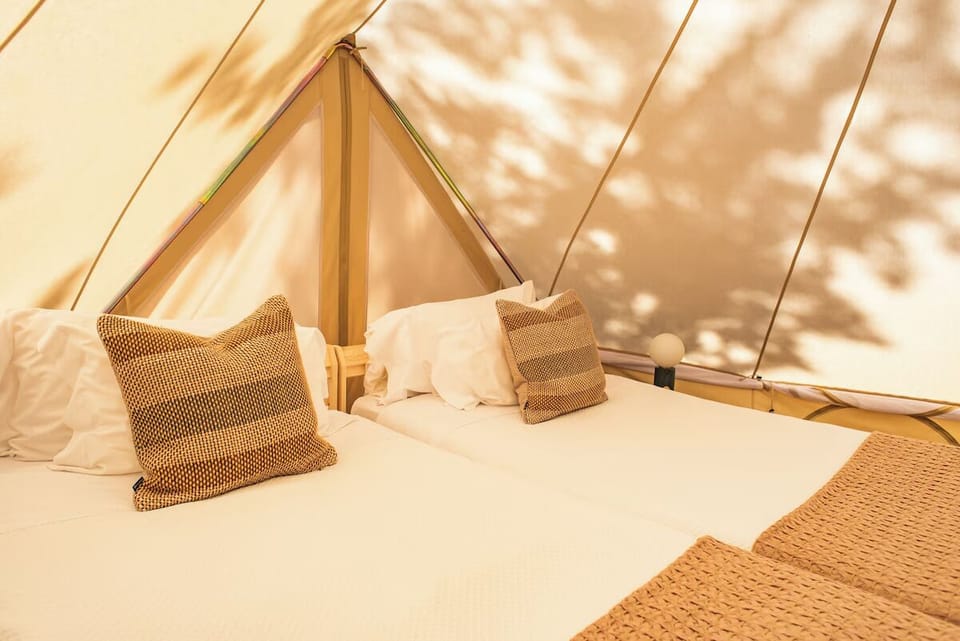 Unwind in soft bedding under calming canvas glow.