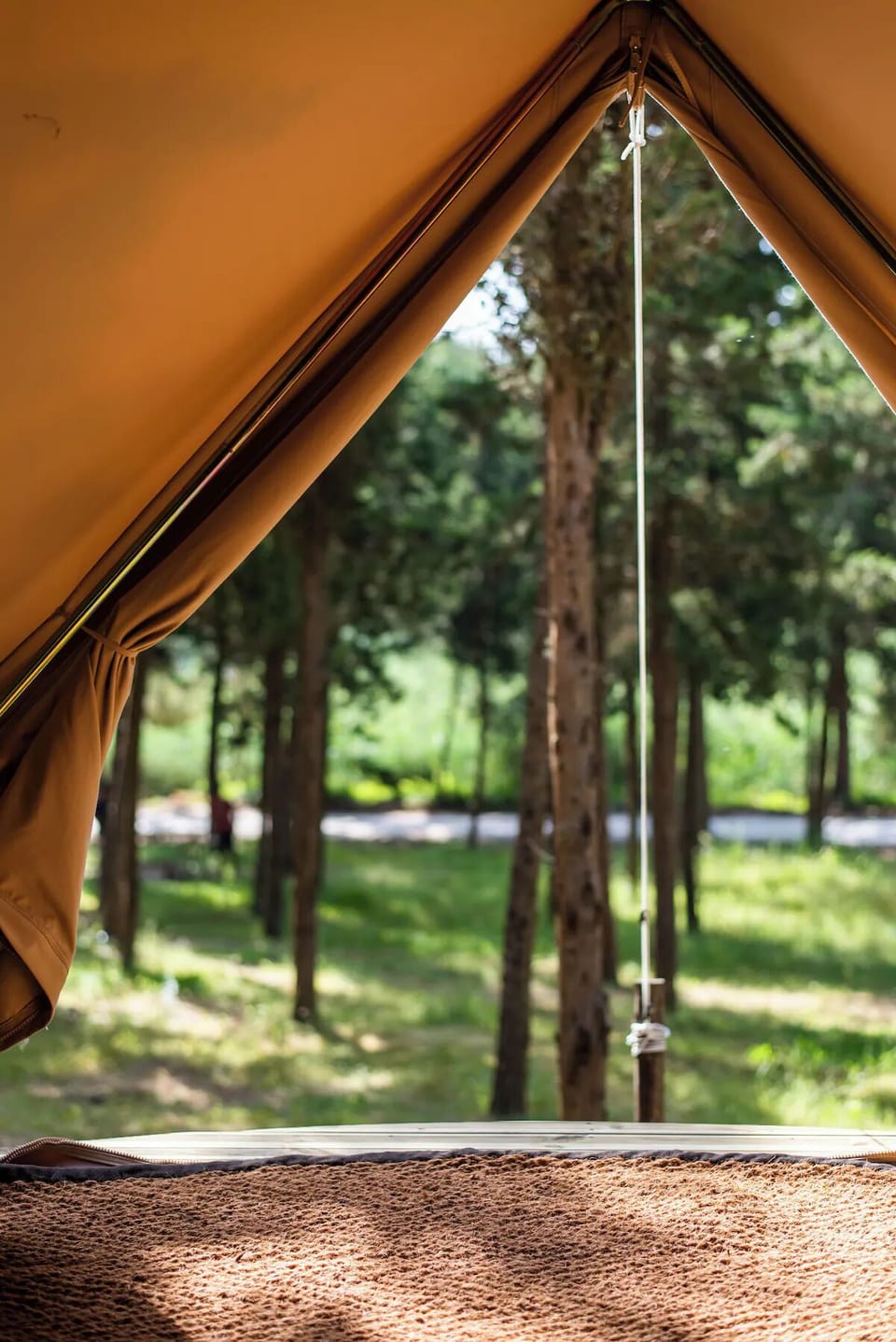 Wake slowly to tranquil woodland views from your tent.