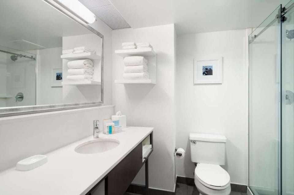 Bathroom with wide mirror, shelves, and glass shower door