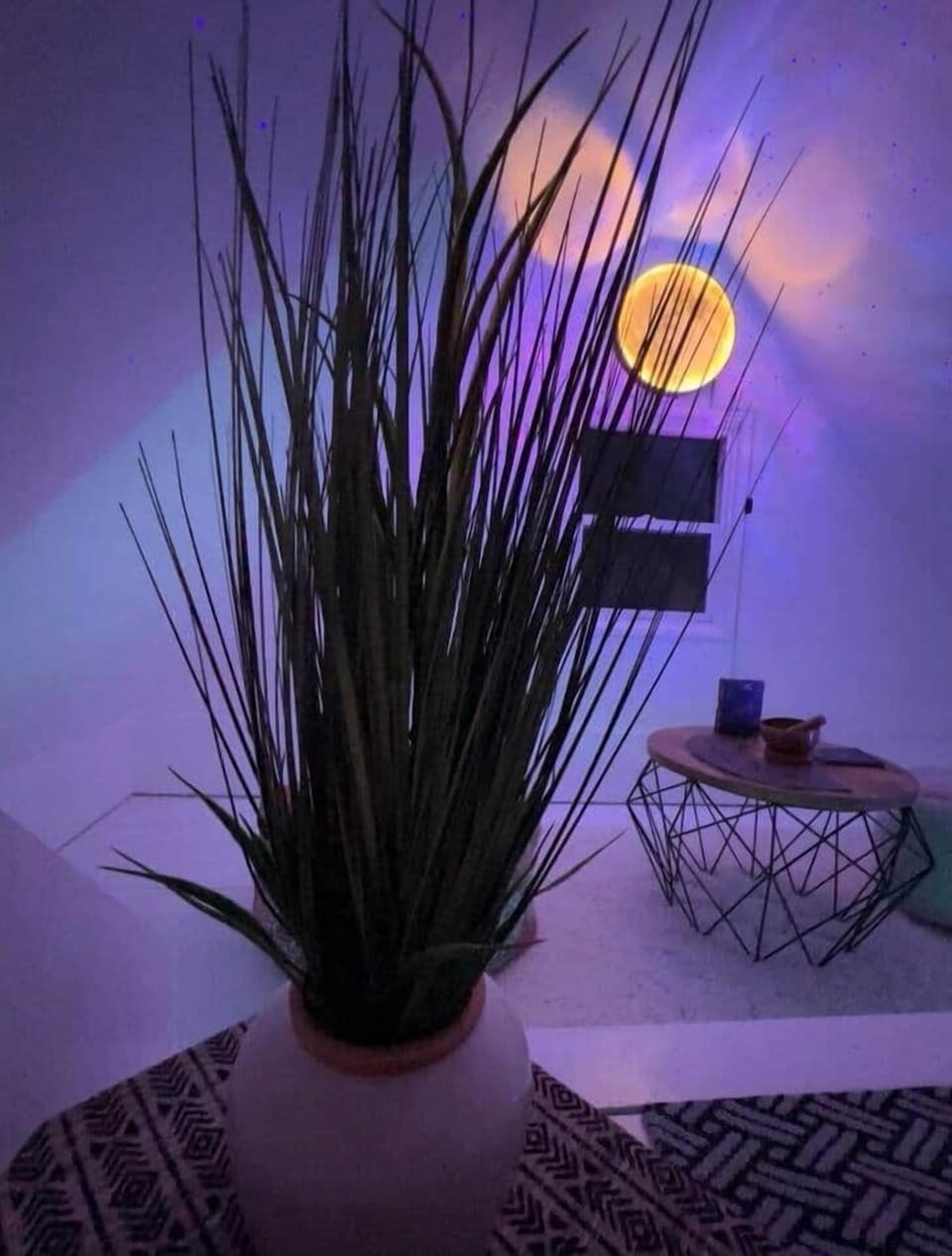 Find the Secret, Hidden Room in the House of Bliss! 

"The secret room is amazing"... "All of the kids, aged 5 to 85, enjoyed looking for and sitting in the secret room. "