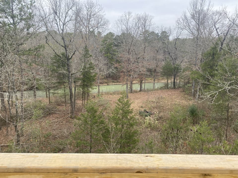 View of Fiddler Creek from deck (December)