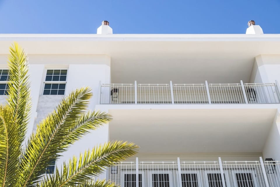 Arrive to a bright, modern facade framed by palms