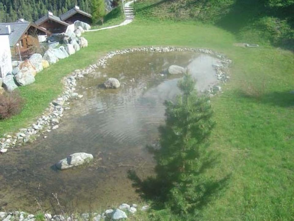 View pond