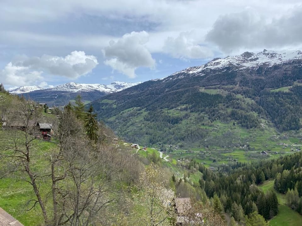 Title