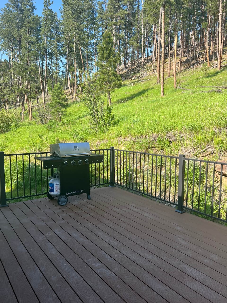 Gas Grill on the deck 