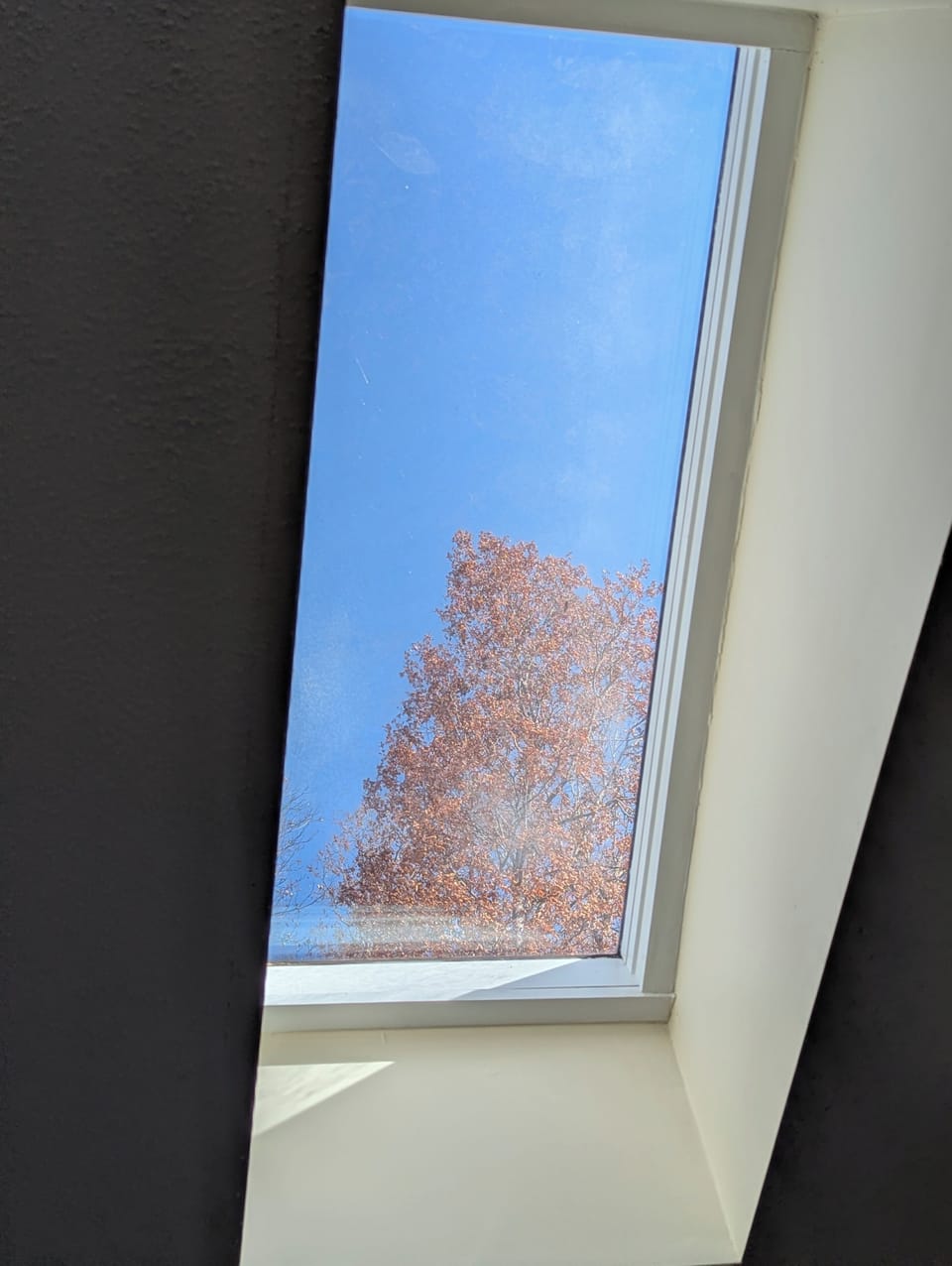 skylight 