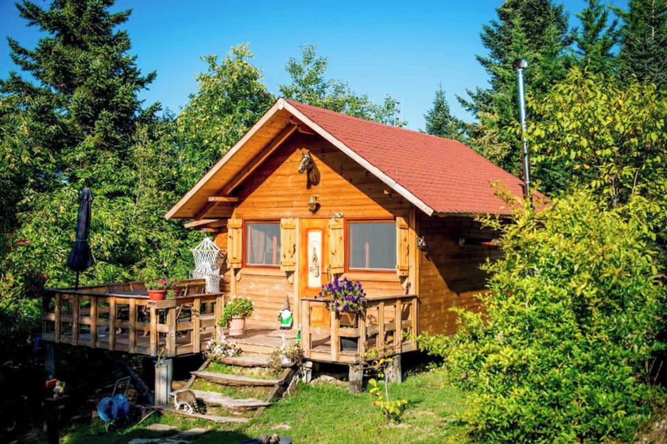 Panoramic view next to the chalet, green and lush scenery.
