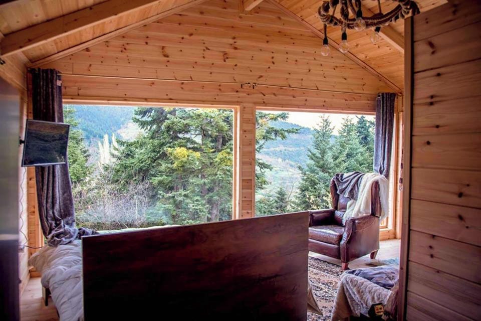 Peaceful corner overlooking the pine forest.