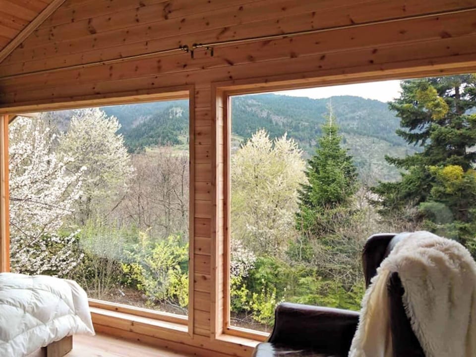 Picture-perfect view from the chalet’s panoramic windows. Immerse yourself in the beauty of Kedra's pine forests, and ever-changing mountain skies
