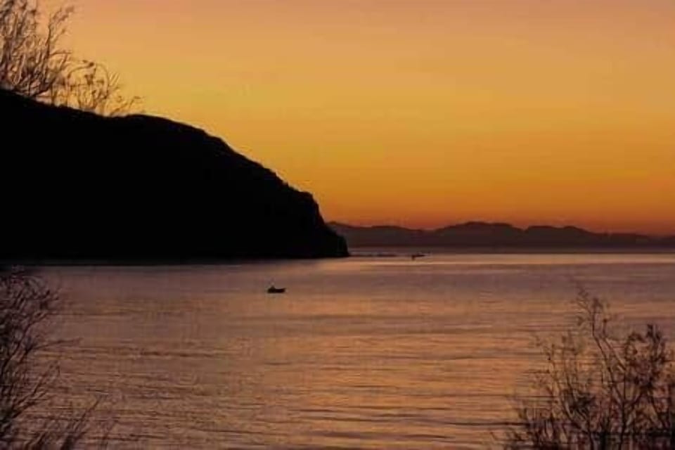 B539d41a 1bf0 4d88 a732 be1a606f2d8f