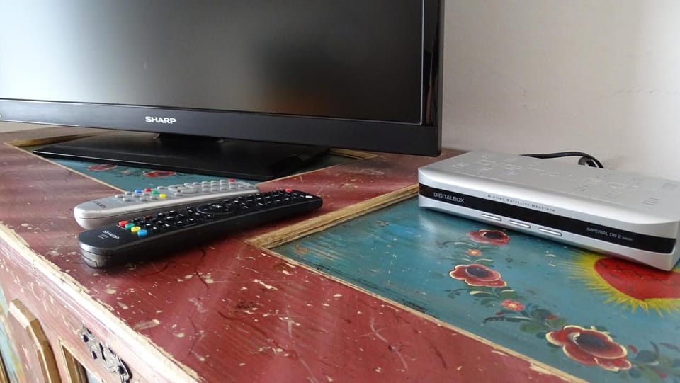 Television