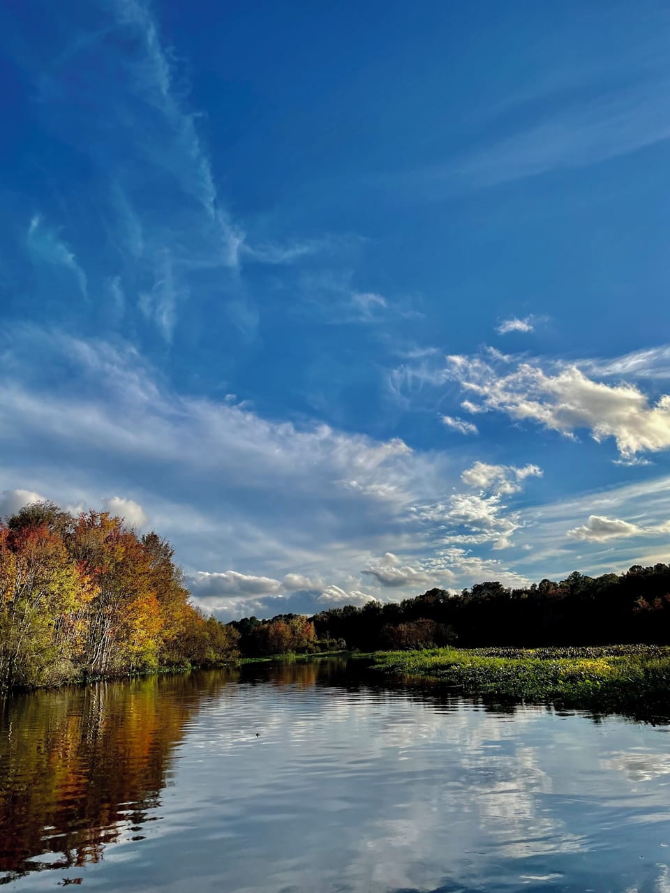 Ocklawaha River