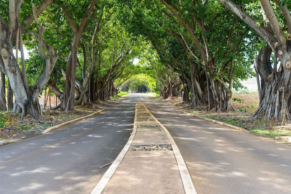 Miscellaneous