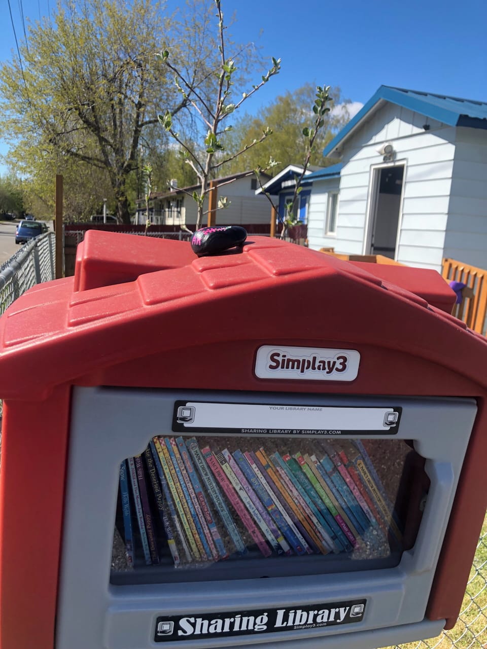 Linderman’s Lending Library #2