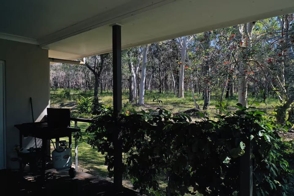 View from the deck into state forest with large original growth eucalypts