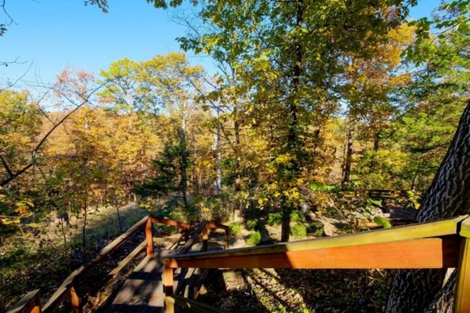 Step onto the deck and breathe in sweeping treetop views.
