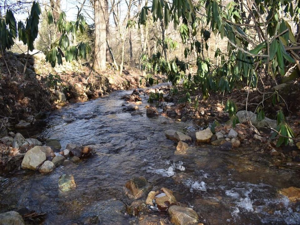 Rabbit Creek runs right behind the cabin