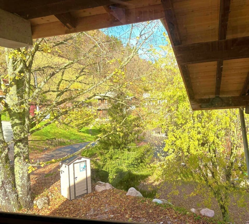 View from property