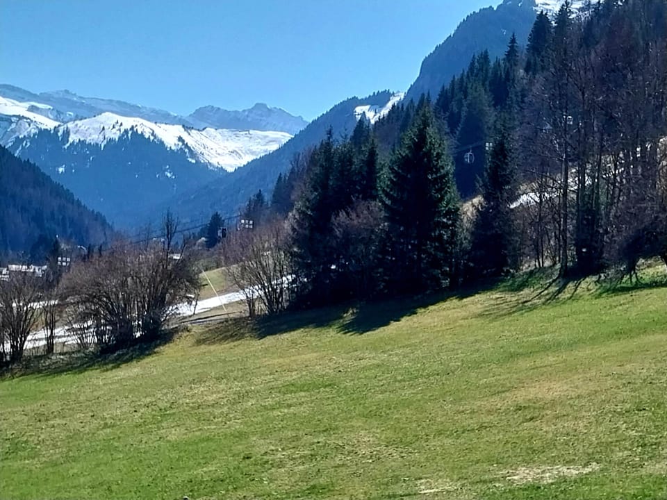 April view towards Pleney